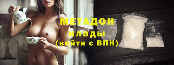 шишки Лабытнанги