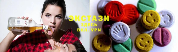 шишки Лабытнанги